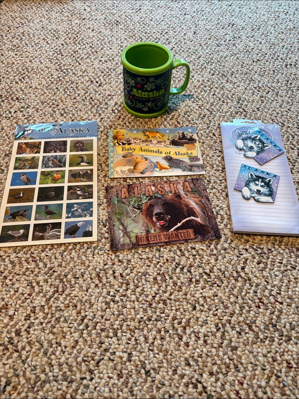 Bundle of Alaska Souvenirs/Mug